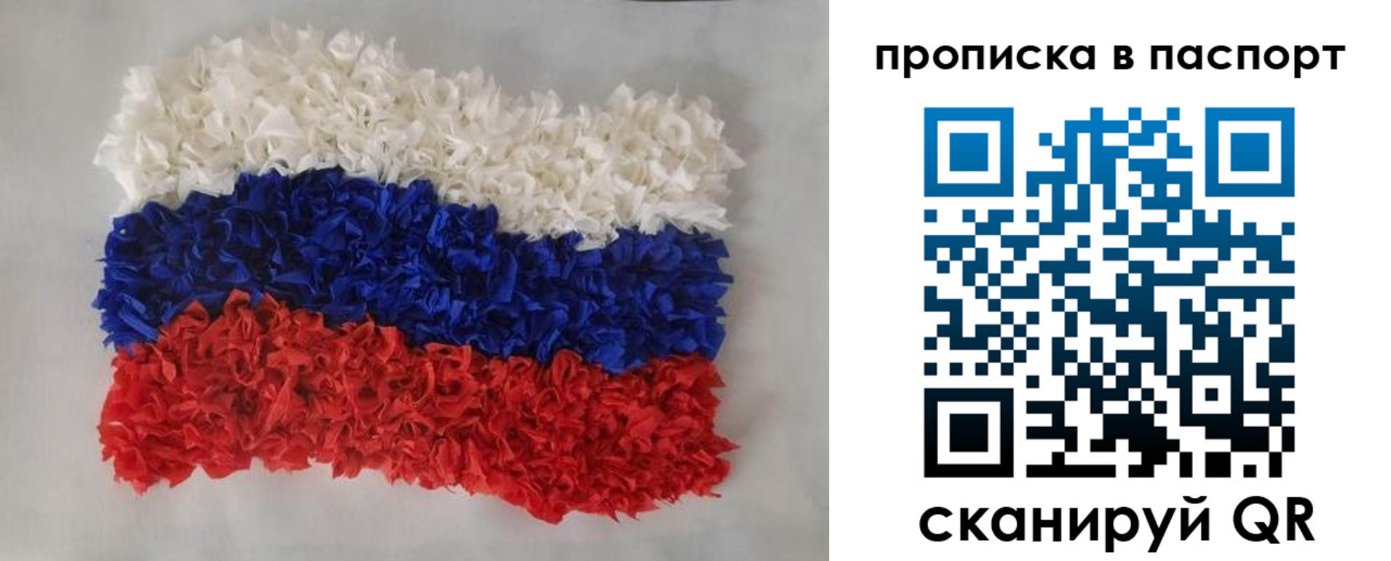 прописка в Полярных Зорях