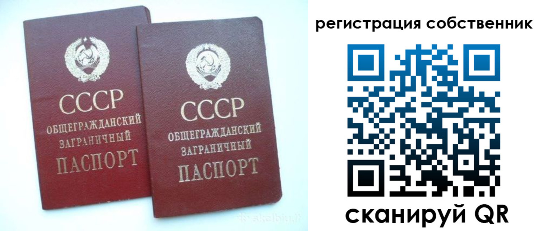 временная регистрация надежно в Полярных Зорях
